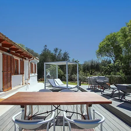 Vives - Alegre Pollença