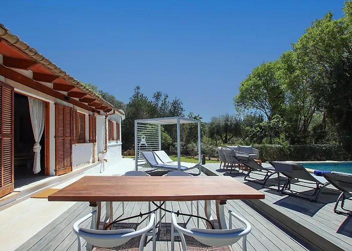 Vives - Alegre Польєнса